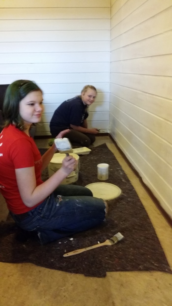 Rakel Karevold Grønhaug (nærmest) og Inez Marie Lysne-Ness var flinke med malerkosten.