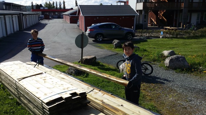 Unge dugnadsdeltakere, f.v.: Ole Johan Otlo og Farzam Pajenda.