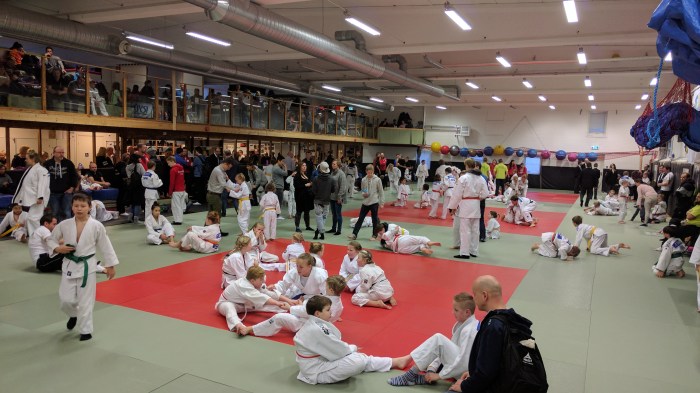 oppvarming-img_20161210_095635